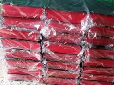 bible-distribution (5)